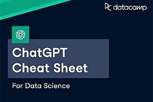 利用 Chat GPT 自动批量生成视频,轻松获取大量精准流量
